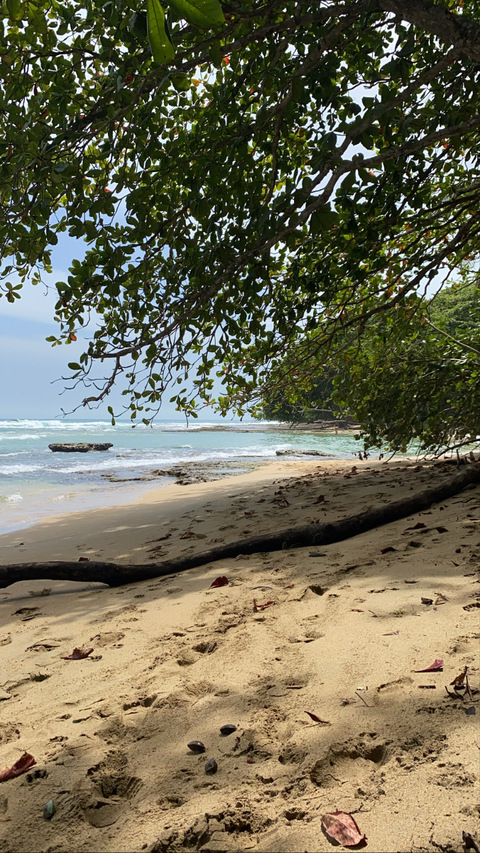 OnlyFans header picture lilbaddie0602