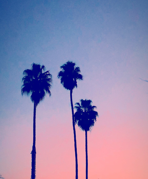 OnlyFans header picture liljfuckyobitch