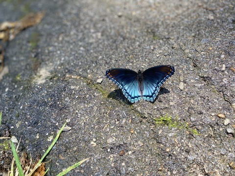 Photo d'en-tête OnlyFans de lillybabeee17