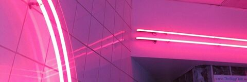 Фото заголовка OnlyFans lilmissvixennnn