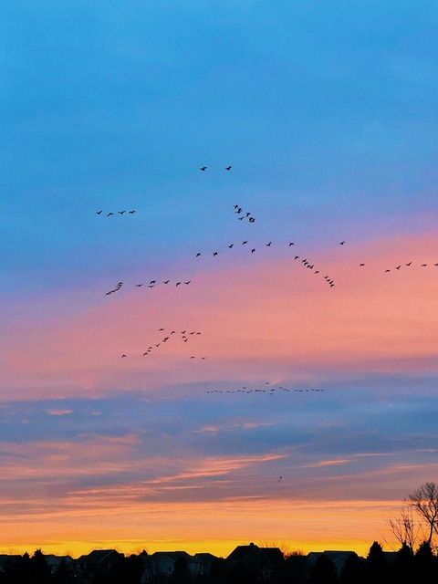 ओन्लीफैंस हैडर चित्र lilrach