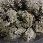 OnlyFans profile picture lilta