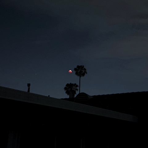 Header afbeelding van OnlyFans lilxmartianfree