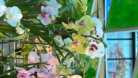 Снимка за заглавие на OnlyFans loveratho