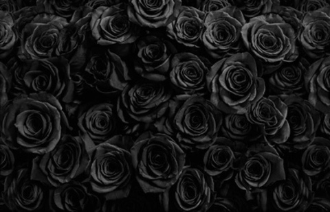 ओन्लीफैंस हैडर चित्र loveylotus