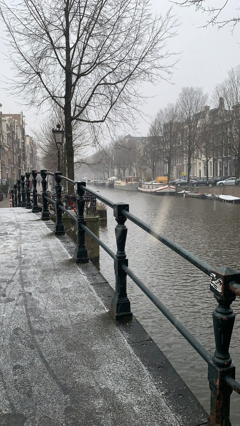 ओन्लीफैंस हैडर चित्र lucianahoyos221