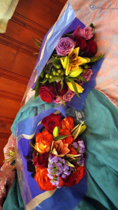 OnlyFans Titelbild luckandloyal