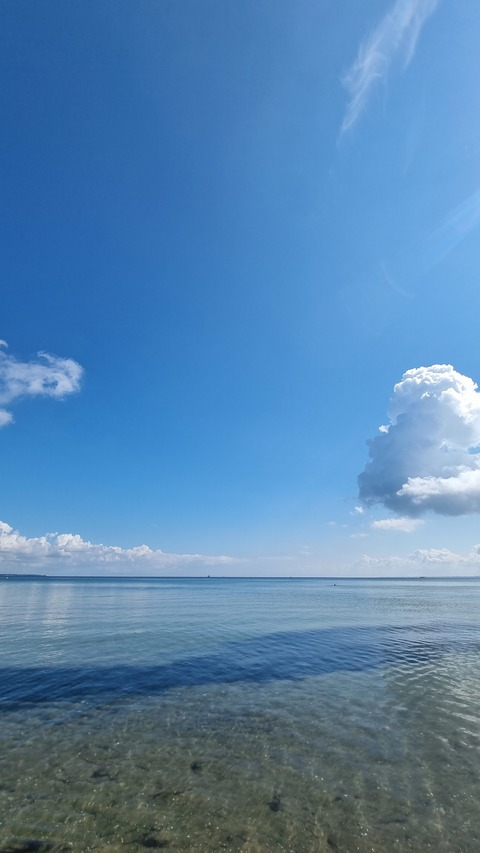 صورة رأس OnlyFans luisamuskelmensch