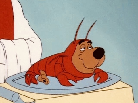 صورة رأس OnlyFans lulu999