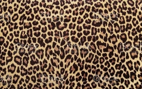 Header afbeelding van OnlyFans lulu_sxx