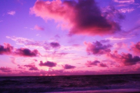 lunadlight님의 OnlyFans 헤더 사진