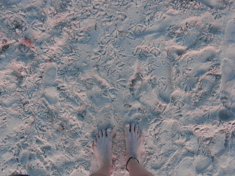 Снимка за заглавие на OnlyFans lunalove96