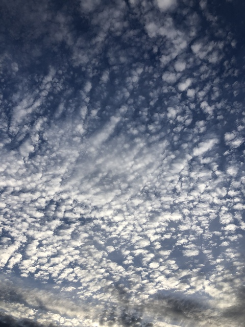 Снимка за заглавие на OnlyFans maddy199x