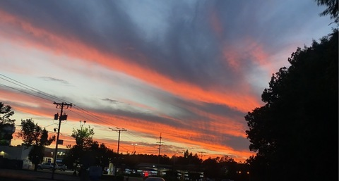 OnlyFans header picture madilynn1