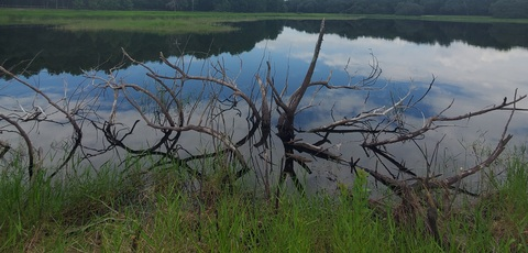 Gambar header OnlyFans maiyaakrin