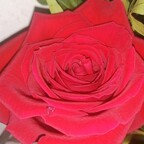 OnlyFans 프로필 사진 mariabellucci14