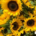 Профилна снимка на OnlyFans на maurishka