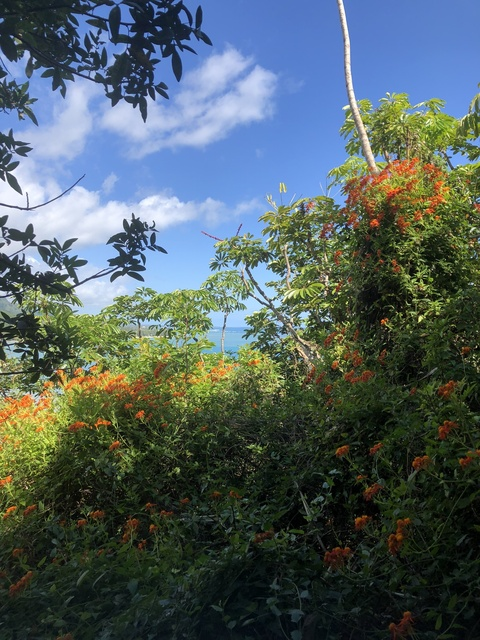 Header afbeelding van OnlyFans mayyouneverfindout