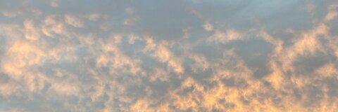 Снимка за заглавие на OnlyFans mdwinna