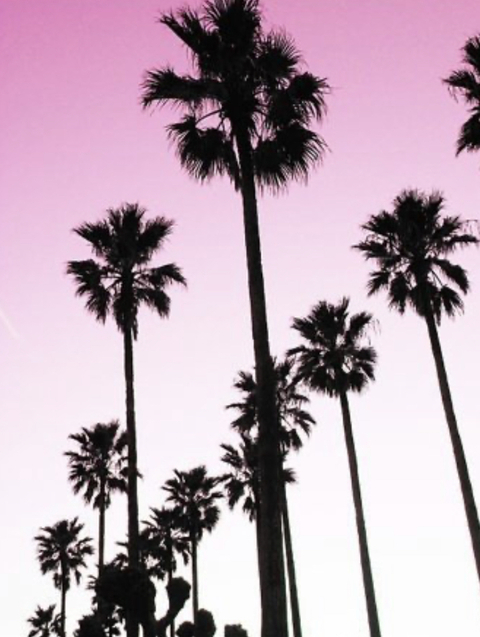 Imagem do cabeçalho do OnlyFans de mickystrumia