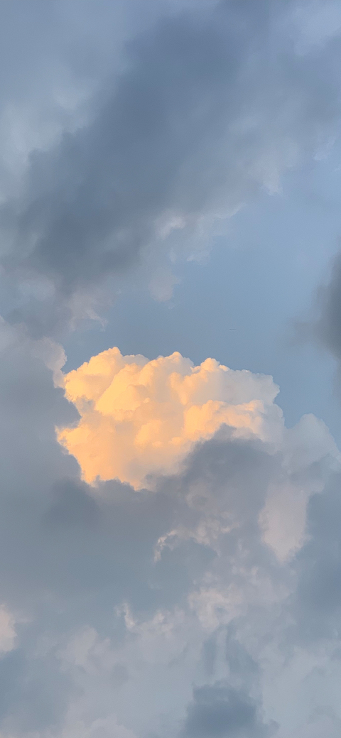 mimyo111님의 OnlyFans 헤더 사진