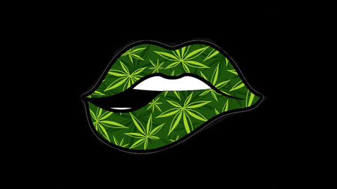 Imagem do cabeçalho do OnlyFans de minnesota.booty