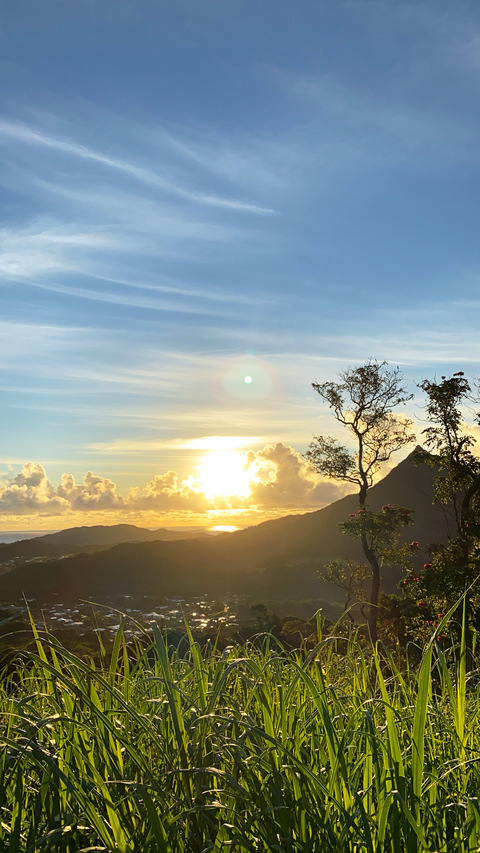 OnlyFansヘッダー画像minniemichelevip