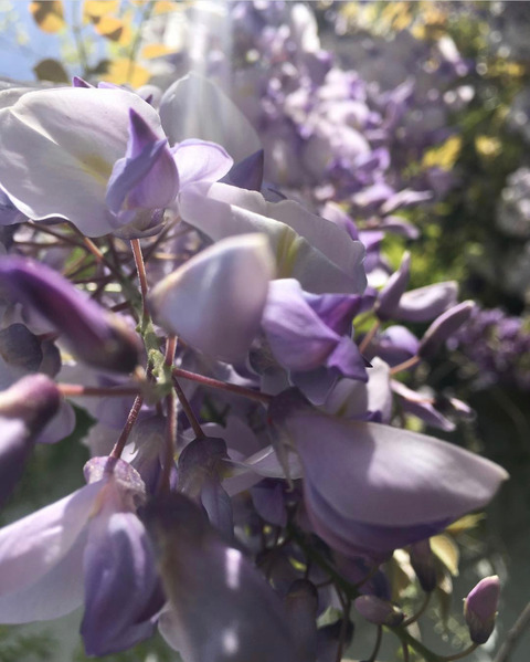 ओन्लीफैंस हैडर चित्र miss.gabrielle.g