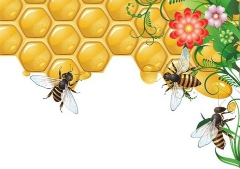 OnlyFans Titelbild missbee733