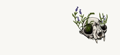 Photo d'en-tête OnlyFans de misskenzied