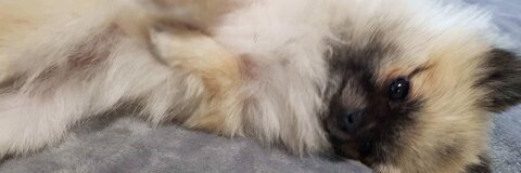 Header afbeelding van OnlyFans mizzimie