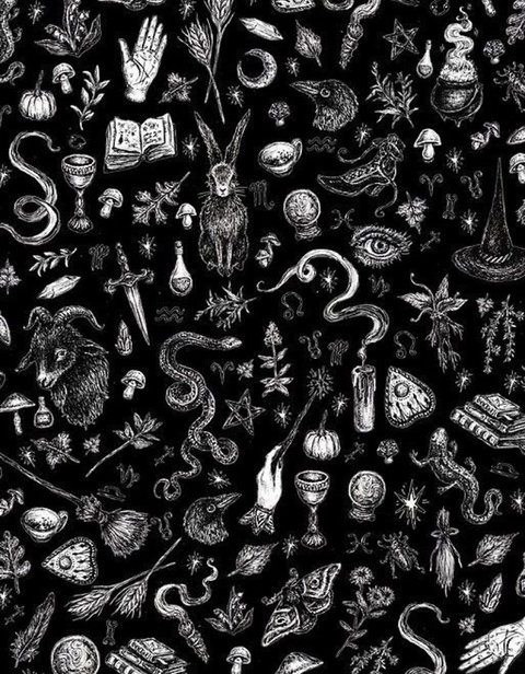 Gambar header OnlyFans moana__lisa