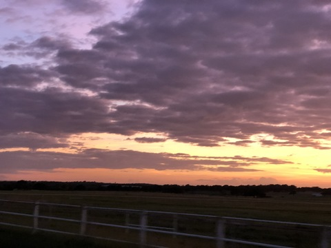 Снимка за заглавие на OnlyFans mommy