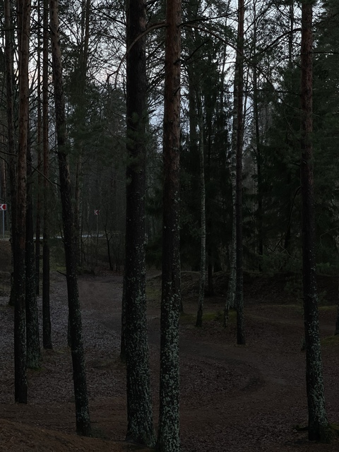 Фото заголовка OnlyFans monika_mil_z