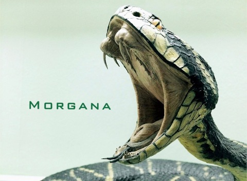 OnlyFans header picture morganafire21