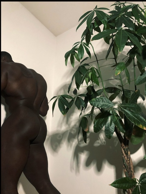 Gambar header OnlyFans mrknedy