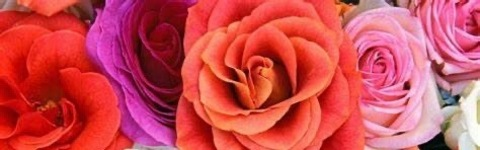 Снимка за заглавие на OnlyFans mrsbellecakes