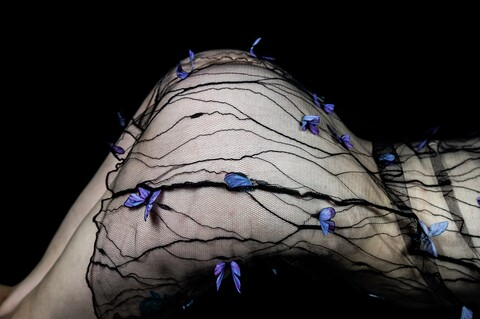 OnlyFans Titelbild ms_ivy