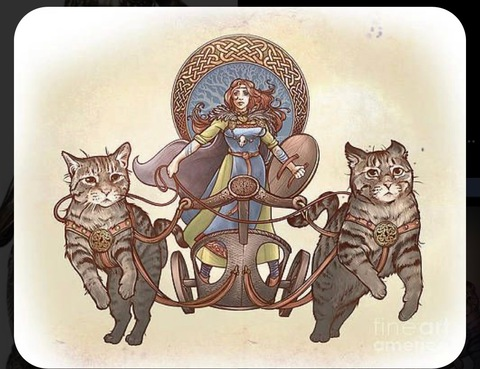 ओन्लीफैंस हैडर चित्र mskeller