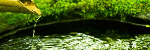 ओन्लीफैंस हैडर चित्र nadeshikoedging