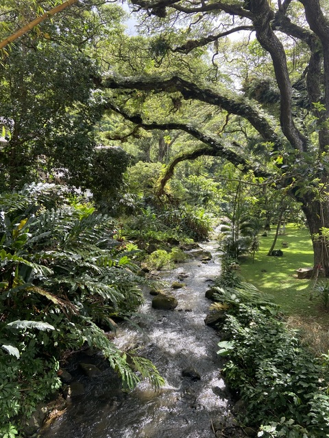 Photo d'en-tête OnlyFans de namaste.me