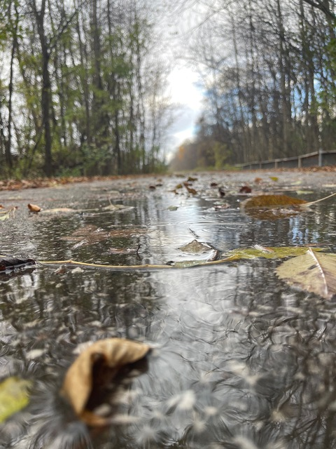 OnlyFansヘッダー画像natali3rk