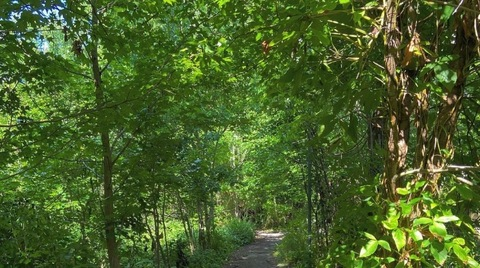 Header afbeelding van OnlyFans naturabody