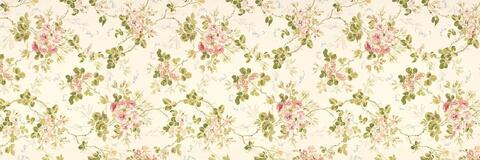 ओन्लीफैंस हैडर चित्र naughtykathie