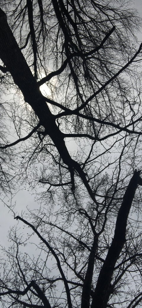 ndblair님의 OnlyFans 헤더 사진