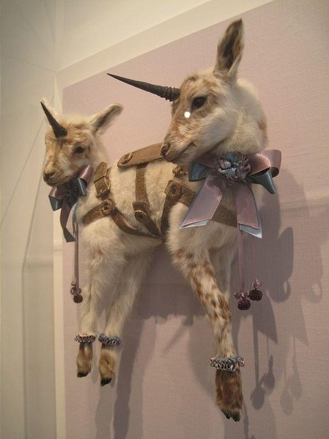 Header afbeelding van OnlyFans nihlllxm