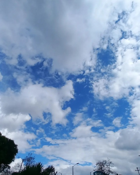 OnlyFans başlık resmi norvitta