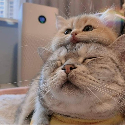 Снимка за заглавие на OnlyFans not3bdy