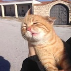 Nur ein Profilbild von OnlyFans von notlola