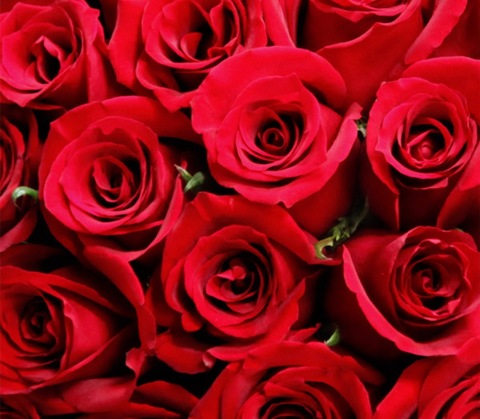 OnlyFans header picture nouflou